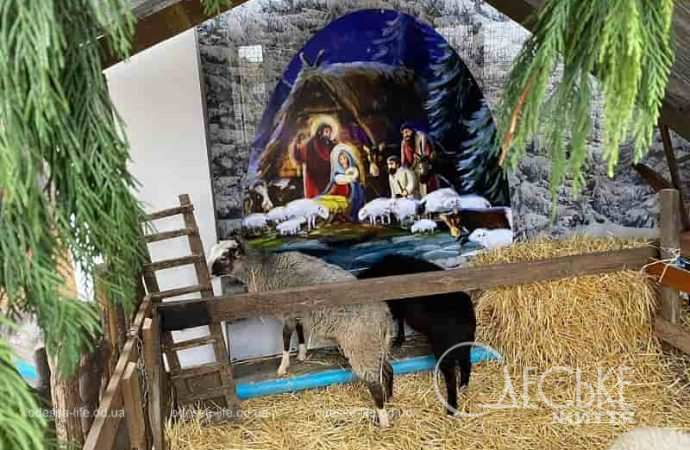 Вертеп в храме под Черноморском2