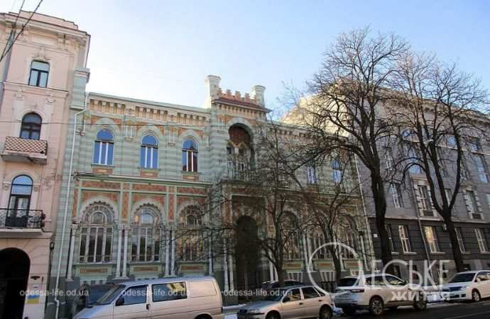 Январь после снега. Котова