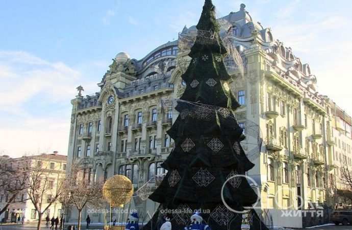 Январь после снега. Котова