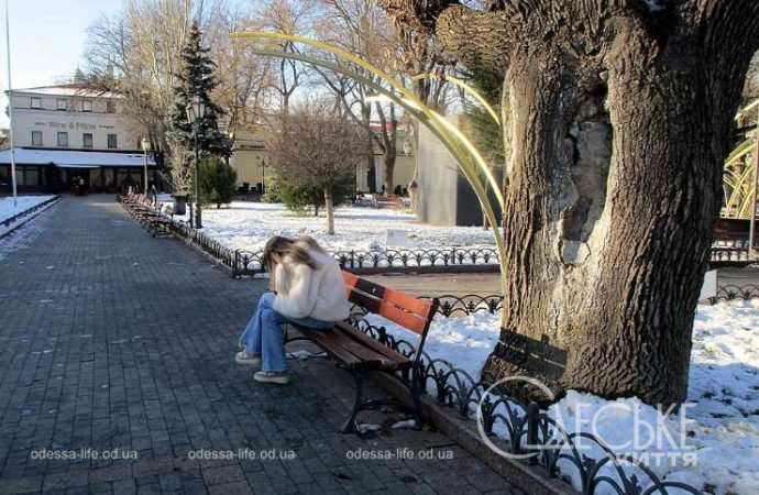 Январь после снега. Котова