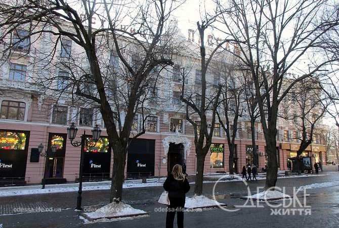 Январь после снега. Котова