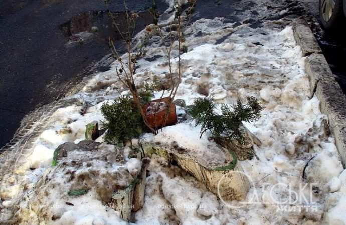 Январь после снега. Котова