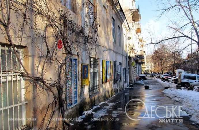 Январь после снега. Котова