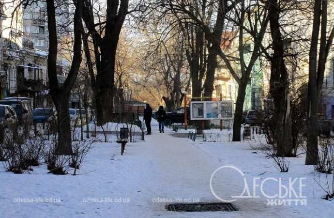 Январь после снега. Котова