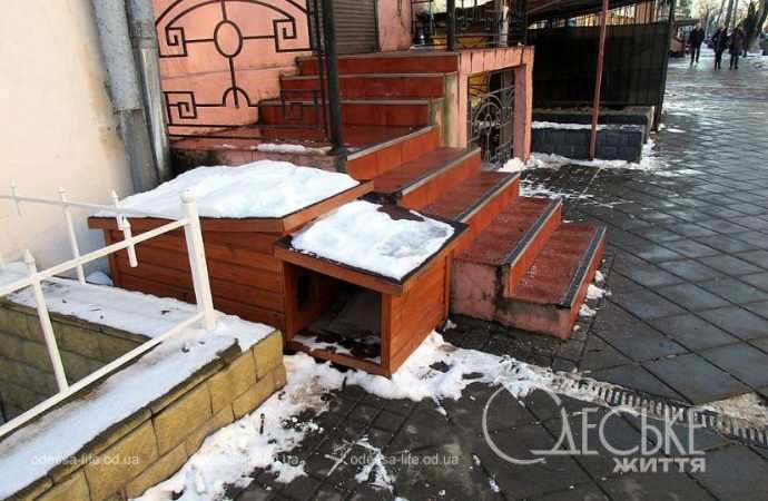 Январь после снега. Котова