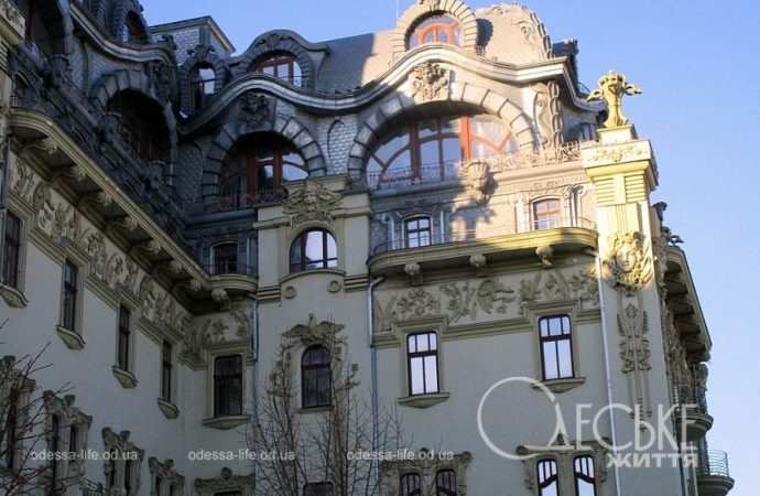 Январь после снега. Котова