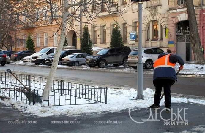 Январь после снега. Котова