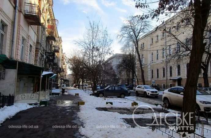 Январь после снега. Котова