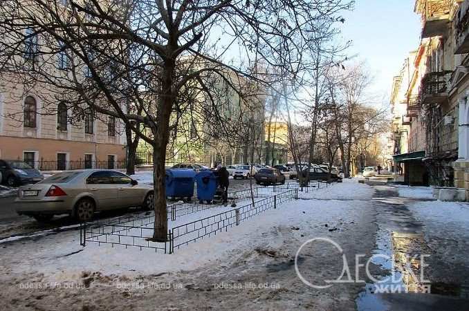 Январь после снега. Котова