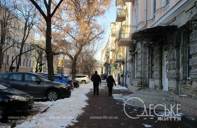 Январь после снега. Котова