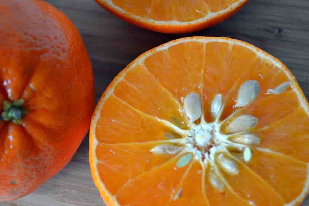 Сладкие, сочные и без косточек: как правильно выбрать мандарины
