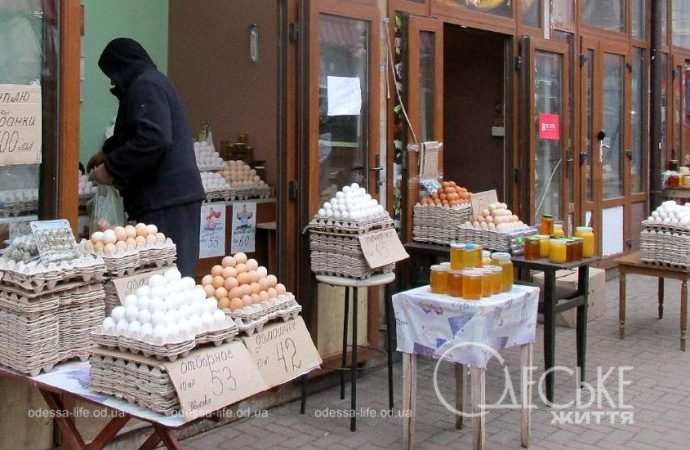 Новый рынок. Котова