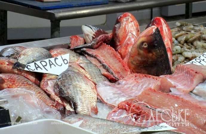 Новый рынок. Котова