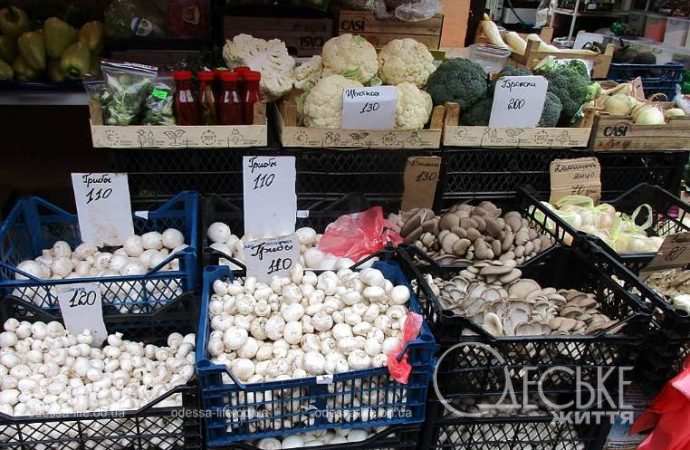 Новый рынок. Котова