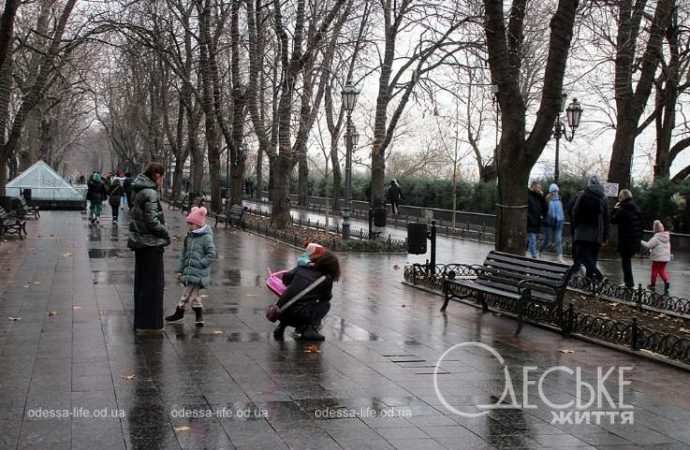 Приморский. Котова