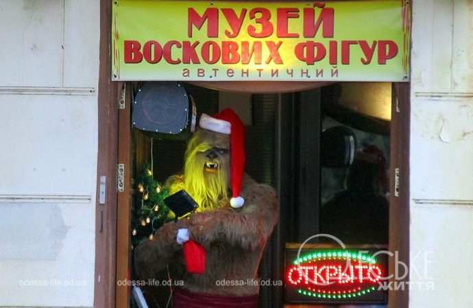 Приморский. Котова