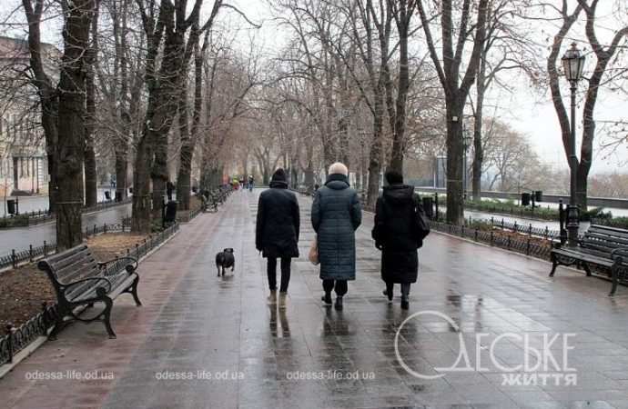 Приморский. Котова