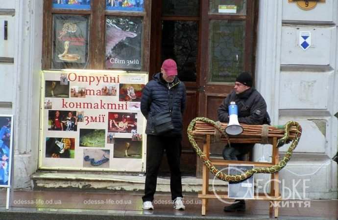 Приморский. Котова