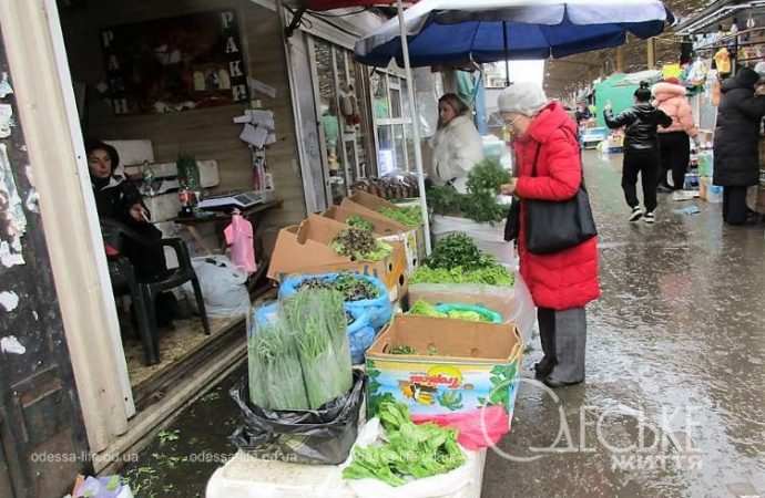 Привоз 19.01. Котова