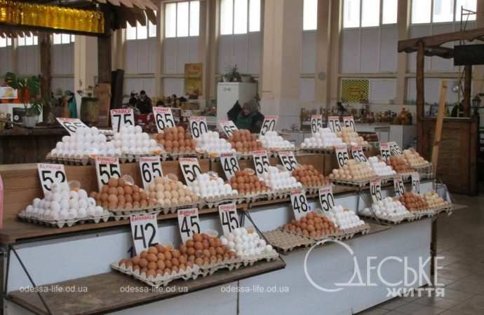 Привоз 19.01. Котова