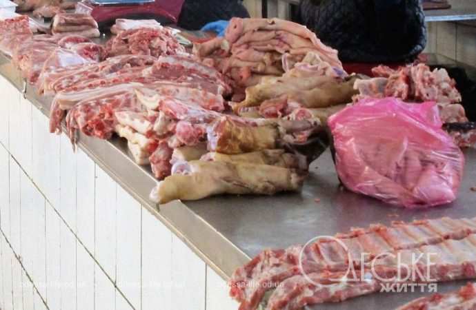 Привоз 19.01. Котова