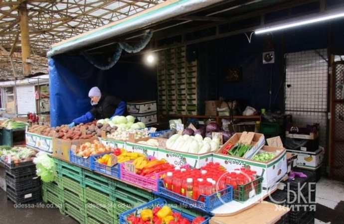 Привоз 19.01. Котова