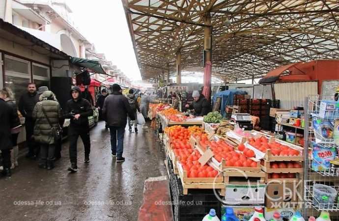 Привоз 19.01. Котова