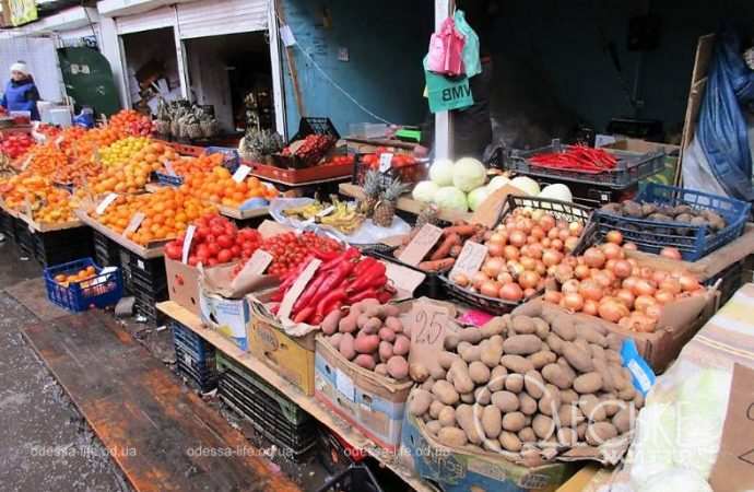 Привоз 19.01. Котова