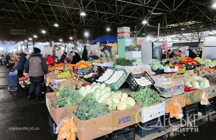 Привоз 19.01. Котова