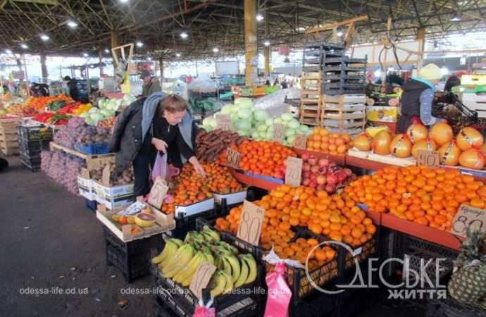 Привоз 05.01. Котова