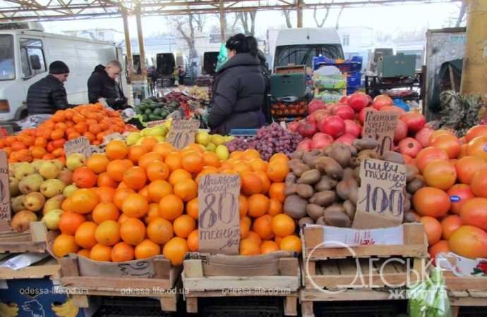 Привоз 05.01. Котова