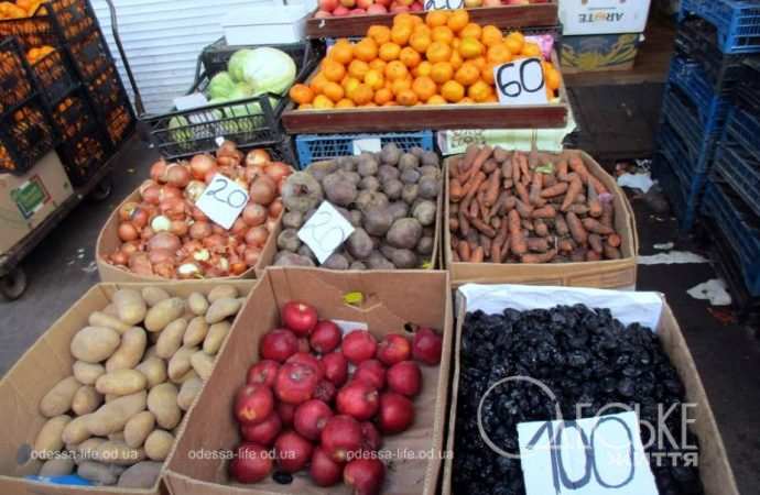 Привоз 05.01. Котова