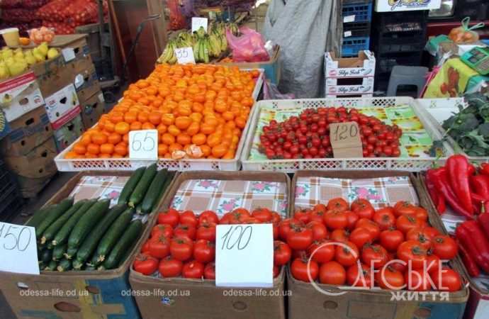 Привоз 05.01. Котова