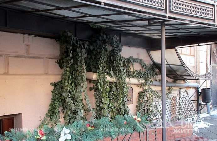 Улица Софиевская2