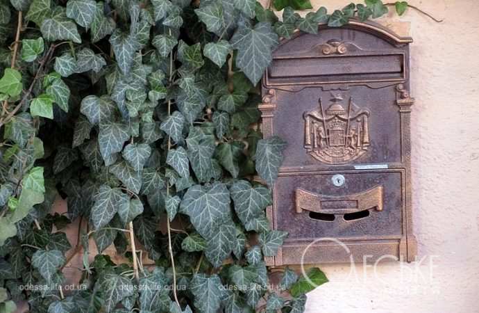 Улица Софиевская3