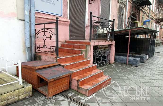 Улица Софиевская44