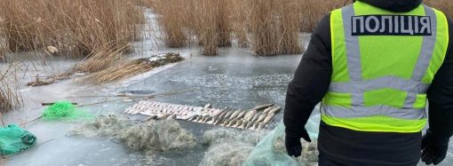В Одесской области рыбаки наловили рыбы «для себя» на 700 тысяч гривен