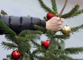 Убираем новогоднюю елку: когда и как это сделать правильно