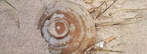 Опасность для живой природы: в заповедник в Одесской области принесло мину