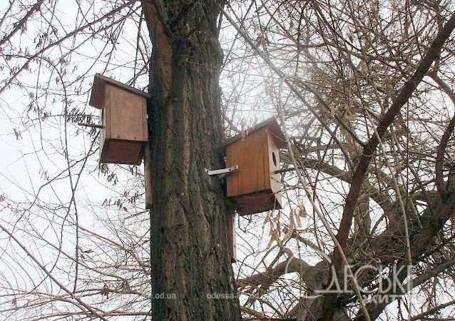 Отоновский переулок. Котова