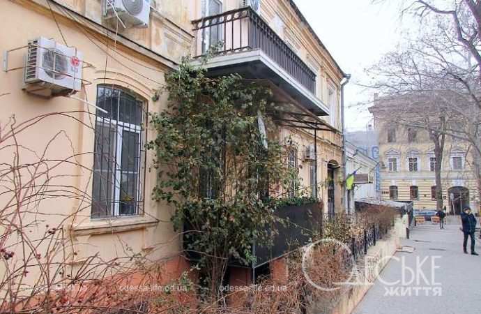 Отоновский переулок. Котова