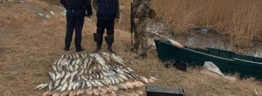 В Одеській області затримали браконьєрів з електровудкою: що їм загрожує