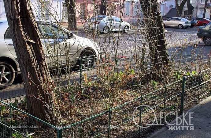 На одесской улице