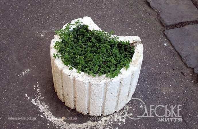 Газоны в Одессе, уличная ваза