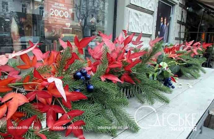 День влюбленных в Одессе: цветы