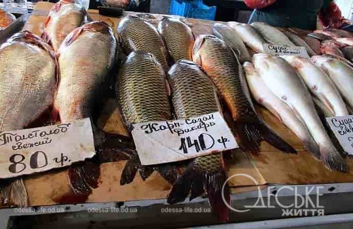Сколько стоит рыба на Привозе