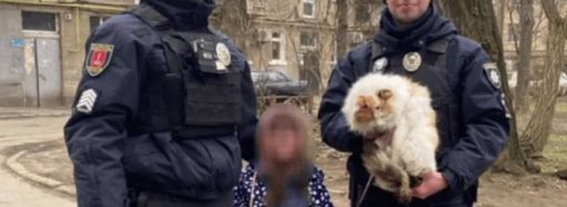 Как одесские патрульные кошку Асю спасали (видео)