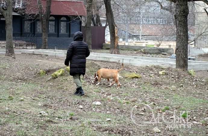 Сквер Регенсбург в Одессе, прогулка с собакой