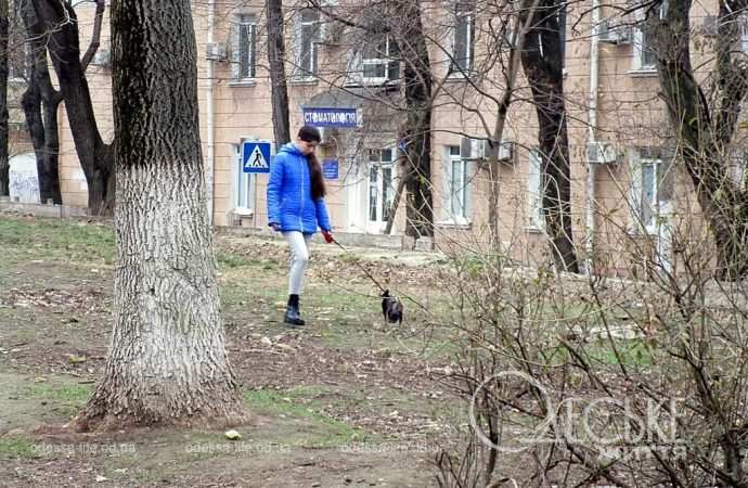 Прогулка в сквере Регенсбург
