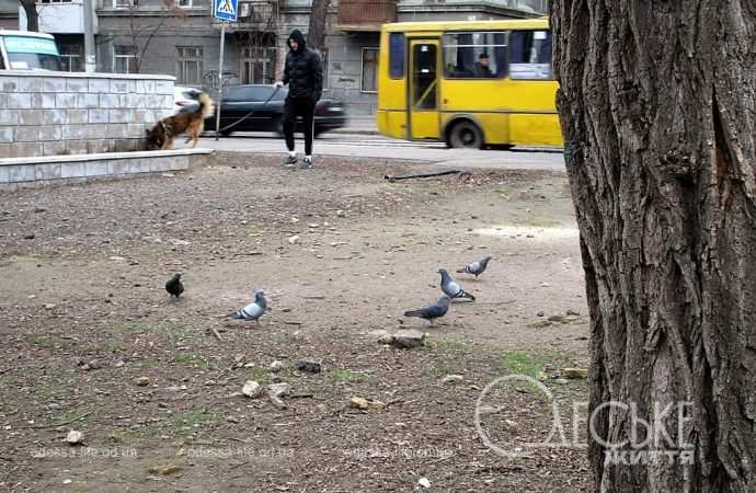 Заброшенный одесский сквер